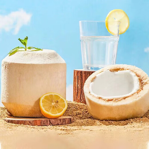 Authentic Thai coconut green whole box fresh perfume coconut fruit for pregnant women free coconut opener straw-Doushunwang 1 piece medium fruit early adopter pack