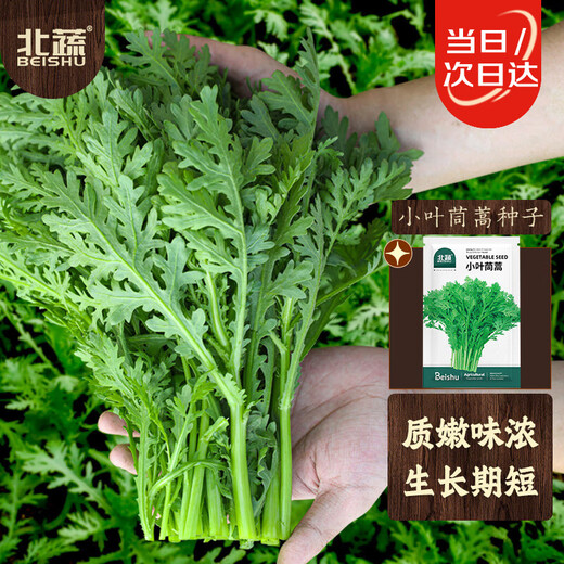 Beishu small-leaf chrysanthemum seeds small-leaf family balcony farmhouse four-season vegetable seeds small-leaf chrysanthemum seeds about 3000 pieces
