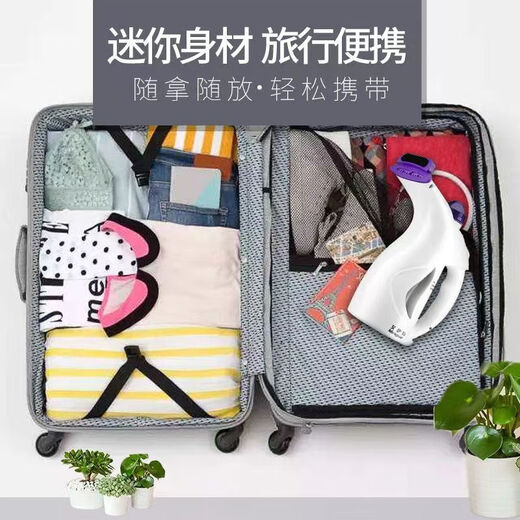 Aite Garment Ironing Machine Household Small Mini Electric Iron Ironing Steam Ironing Machine Portable Hanging Iron Purple Economical Model