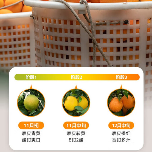 Jingmi Jiangxi Gannan navel orange 9Jin Jin is equal to 0.5kg. Net weight of orange single fruit starts from 180g. Newhall sweet orange fresh fruit straight from the source.