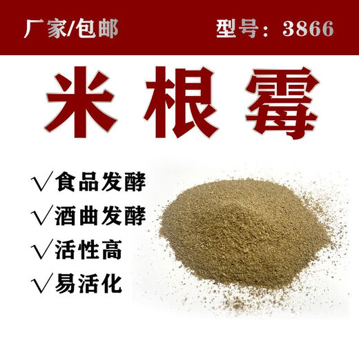 10 million live bacteria Rhizopus oryzae 3866 microbial yeast strains for rice wine sweet distiller's yeast directly supplied from the manufacturer 500g bag