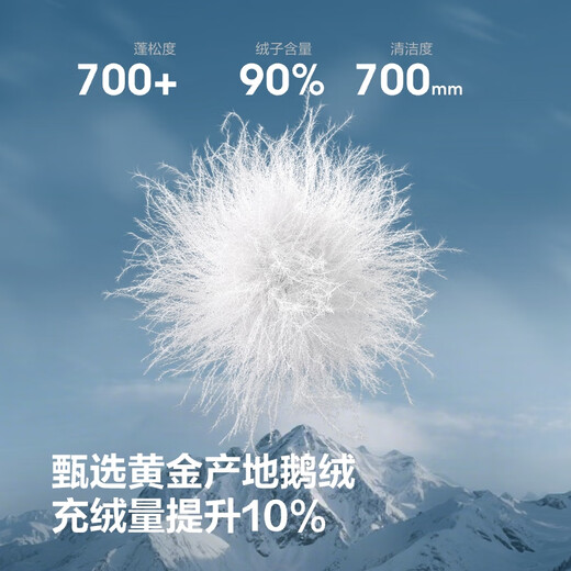 Bosideng Winter Down Jacket Goose Down Men's Thickened Hooded Fashion Jacket Best Selling Same Style B250242311