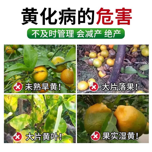 黄龙病果树专用药治柑橘脐橙黄龙病黄化病黄叶卷叶专用药营养液 3袋【买二送一】果树专用