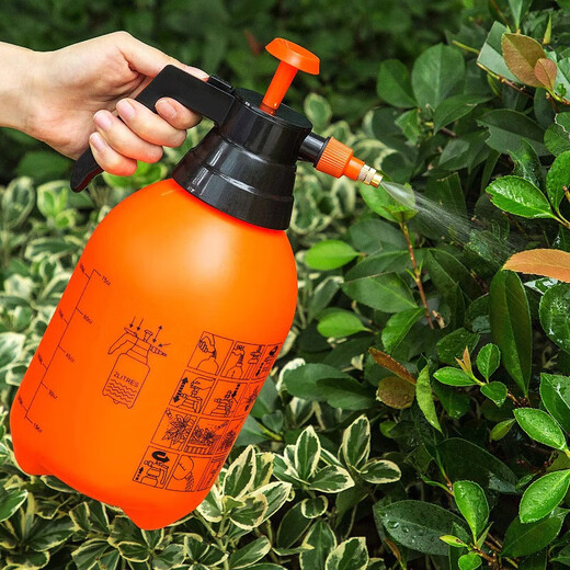 Household watering kettle for watering flowers, kettle for plants and flowers, special watering kettle, air pressure car wash sprayer, green plant watering kettle, 3L fine spray
