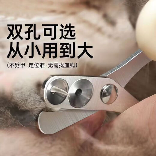 Pengyi cat nail scissors, small blind scissors, cat nail scissors, pet nail clippers, nail clippers, cat paw scissors, 1 blue pet double-hole small blind scissors