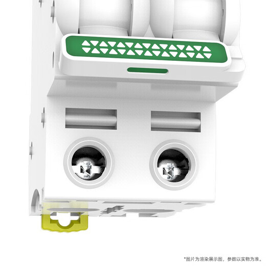施耐德电气 空气开关2P C63A 家用微型断路器总闸双进双出双极空开 R9F44263