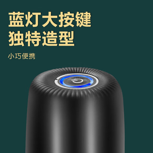 Zilu (ZILU) bottled water pump, electric water dispenser, water suction pump, automatic mineral water pressure water dispenser, water dispenser pump, upgraded double pump model, quiet and super fast water delivery, black