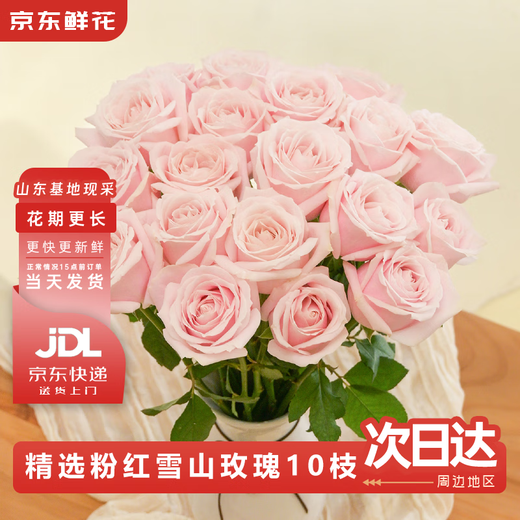 Jingdong Flowers Pink Snow Mountain Roses 10 Ruyi Base Fresh Cut Flowers Water-raised Flower Arrangement Life Bouquet Straight from the Source