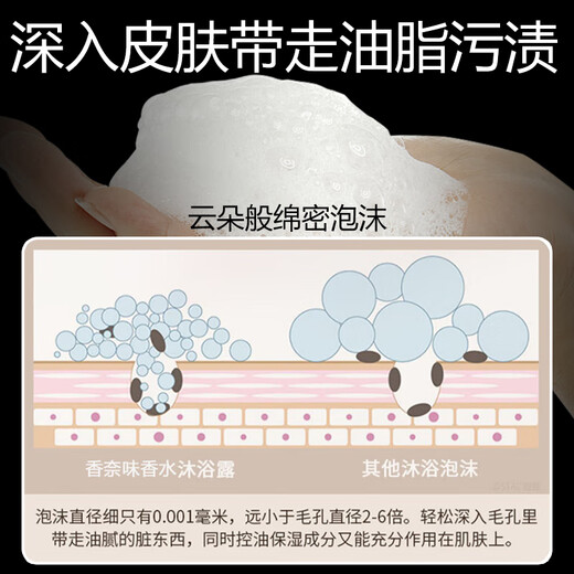 BAILUHUI CO CO Perfume Shower Gel Fragrance Lasting Fragrance Shower Gel Body Refreshing Moisturizing Family Pack 800g