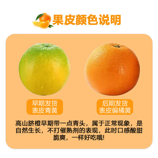 Naranjas Navel alpinas de Fujian Nogyuguo Naranjas de temporada recién cortadas, ácidas, dulces y jugosas. Frutas de temporada. Caja entera de naranjas navel frescas. 5Jin Jin equivale a 0,5kg. Embalaje seleccionado. Fruto único de 60-70 mm. Peso neto 4,5 Jin. Jin equivale a 0,5 kg.