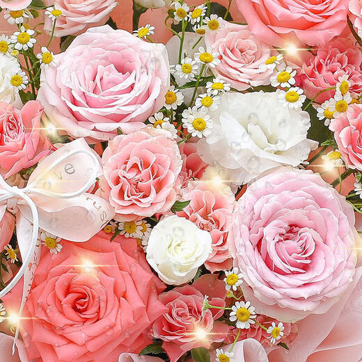 Valentine's Day Flower Express Pink Rose Mixed Bouquet Birthday Gift for Girls Nationwide Same-City Delivery Sweet Goddess 2 Pink Snow Mountain Roses |dy87