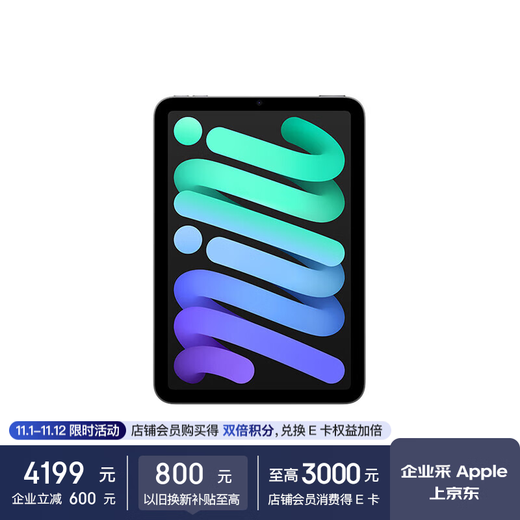 Apple iPad mini 8.3英寸平板电脑 2024年新款(256GB WLAN版/A17 Pro芯片)深空灰色 MXNA3CH/A*企业专享