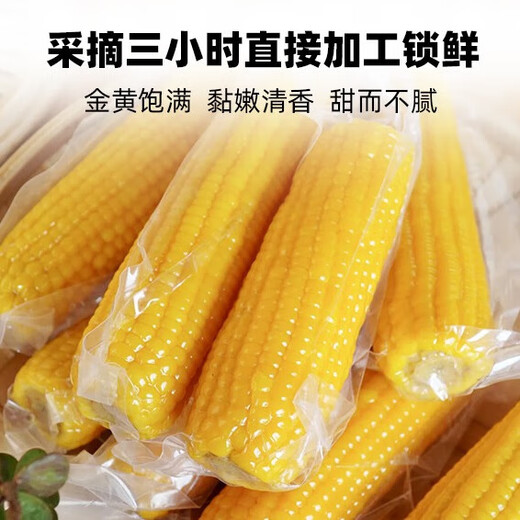 Jingxiansheng & Mengzhibao MON BEAU Inner Mongolia organic sweet waxy corn 200g+-10g x8 sticks 1.6kg straight from the source