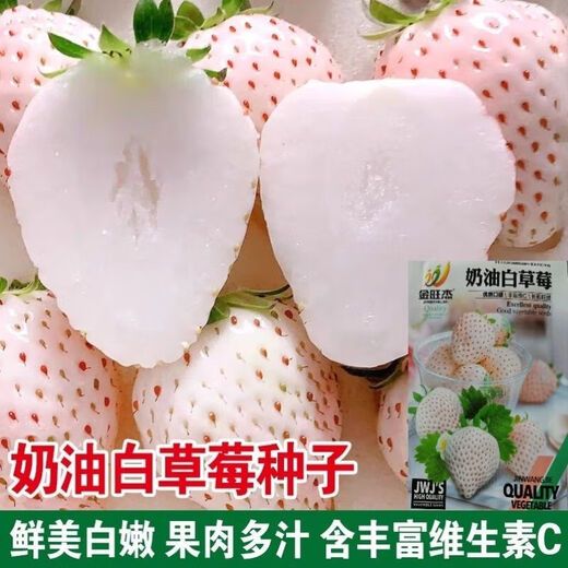Creamy White Strawberry Seeds Four Seasons White Strawberry Seeds Vegetable Seeds and Beauty Home Potted Balcony Planting Creamy White Strawberry Seeds/Pack About 100 capsules 5 packs