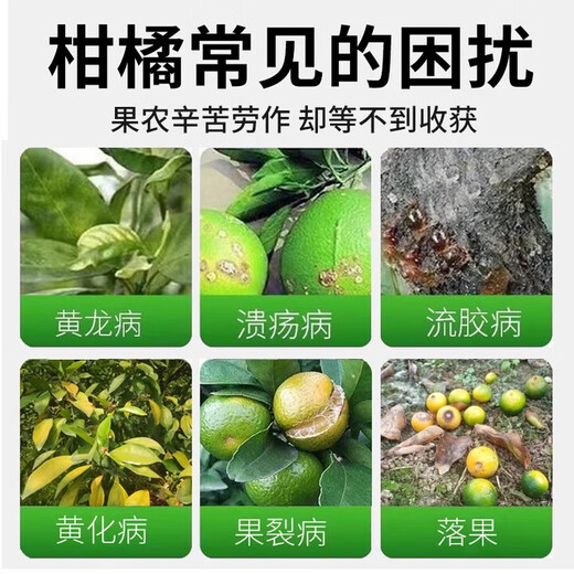黄龙病果树专用药治柑橘脐橙黄龙病黄化病黄叶卷叶专用药营养液 3袋【买二送一】果树专用