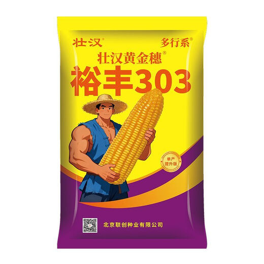 Yufeng 303 corn seed, short stem, lodging and drought resistant, double stick, nationally approved drought and flood resistant bract seed, approved by the Academy of Agricultural Sciences, 4200 grains, big stick dehydrates quickly