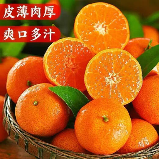 Sweet Guangxi Golden Autumn Sugar Orange Seasonal Fresh Fruit Sugar Orange Thin-Skinned Juicy Seasonal Fruit with Box 10Jin Jin equals 0.5kg
