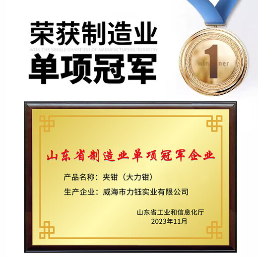 Liyu Dali pliers multi-functional dual-speed pressure pliers industrial grade clamp tool Dali pliers 10 inches