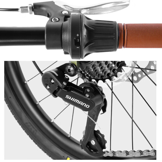 Permanent soft-tail shock absorber folding bicycle 7-speed 20-inch men's and women's adult student urban sports car gray