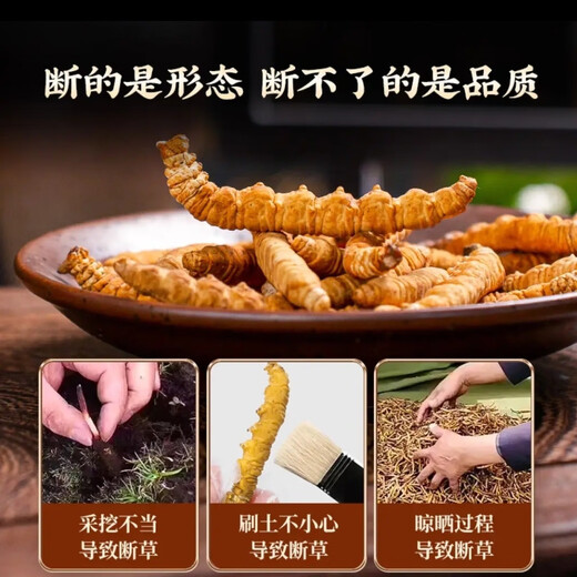 
Cordyceps sinensis (supports quality inspection) Snowy Cordyceps sinensis broken grass whole meat pure meat festival Cordyceps sinensis dried broken grass Cordyceps sinensis pure meat festival 20 grams give 2 grams to improve immunity