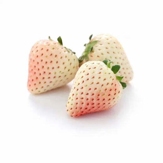 Creamy White Strawberry Seeds Four Seasons White Strawberry Seeds Vegetable Seeds and Beauty Home Potted Balcony Planting Creamy White Strawberry Seeds/Pack About 100 capsules 5 packs