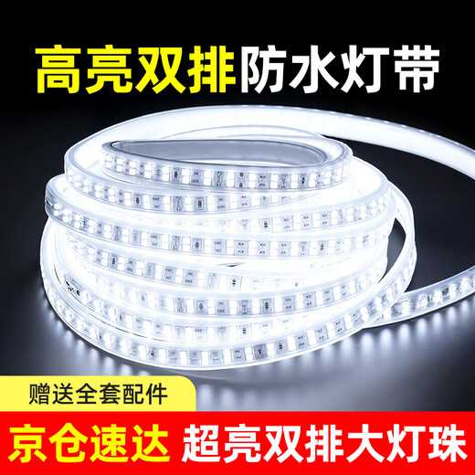 Deyan led light strip 220v high voltage outdoor waterproof light hotel villa project ultra-bright strip decorative linear light outdoor lighting 5 meters package-white light 10W-120 beads/meter