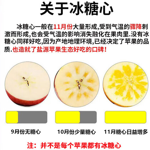 Interesting Taste of Sichuan Daliangshan Yanyuan Chou Apple Fruit Diameter 75+mm Net Weight 8Jin Jin is equal to 0.5kg No. 1 Member Store Straight from the source
