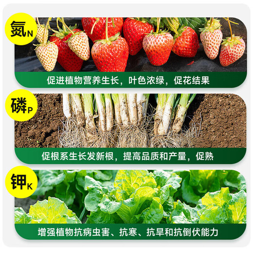 Instant high-efficiency compound fertilizer nitrogen, phosphorus and potassium general flower, fruit and vegetable compound fertilizer nitrogen, phosphorus and potassium fertilizer 10-100Jin Jin equals 0.5kg High-efficiency instant multi-element compound fertilizer 100Jin Jin equals 0.5kg