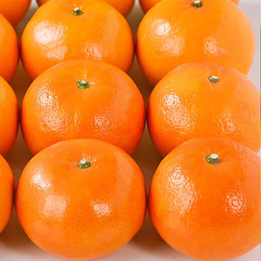 【东东农场】正宗广西武鸣沃柑新鲜采摘自然生长爆甜 沃柑带箱6斤 单果65mm+