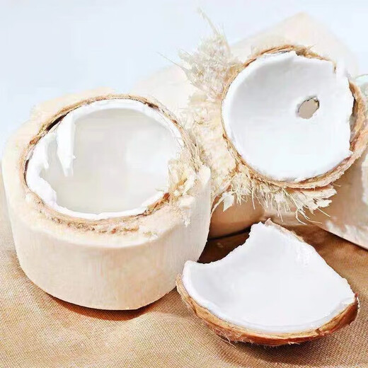Authentic Thai coconut green whole box fresh perfume coconut fruit for pregnant women free coconut opener straw-Doushunwang 1 piece medium fruit early adopter pack