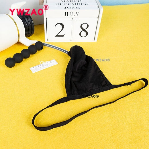 Men's Sexy Anal Plug Underwear Men's Chrysanthemum Wearable Anal Plug Seamless Invisible Thong N10 Combination Single Underwear A26-28