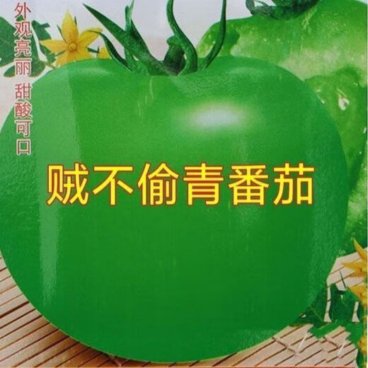 Thieves do not steal green tomato seeds, green tomato seeds, green tomato seeds, high-yield fresh vegetable and fruit seeds in the field, apple green tomato seeds, 3 packs of about 600 capsules