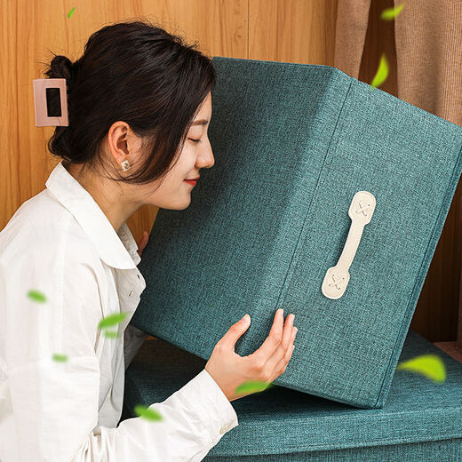 Fantasy Storage Box Home Clothes Wardrobe Storage Box Basket Toy Clothing Organizer Magic Foldable Box Bamboo Charcoal Gray Extra Large 60L (50x40x30) Breathable and Mildew Resistant