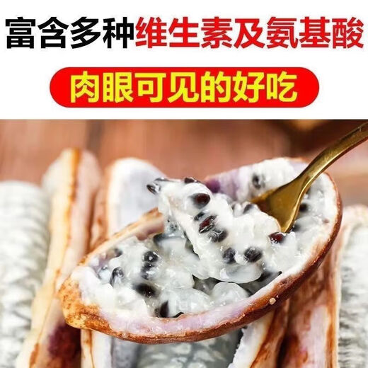 August melon, August fried seeds, new dietary fiber seeds, four-season climbing vines, balcony potted edible fruit seeds, August melon seeds/pack, about 20 capsules, 1 pack