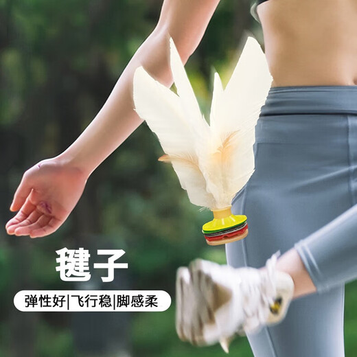 Forty Thousand Kilometers Dabai Shuttlecock Sports Special Adult Fitness Competition Children's Chicken Feather Tendon Professional Resistance Shuttlecock