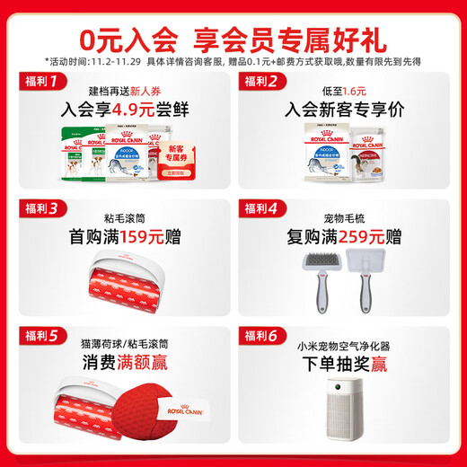 Royal Cat Food Ragdoll Adult Cat Food RA32 General Food 12 Months and Over 10KG