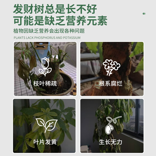 Shangyang Money Tree special plant nutrient solution 500mL flower pot yellowing and falling leaves hydroponic green plant organic flower fertilizer