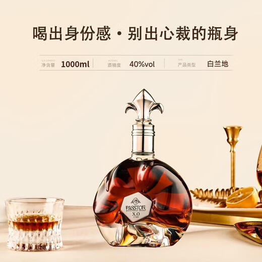 派斯顿法国进口洋酒白兰地XO40°烈酒秘密原酒进口礼盒展示圣诞送礼微醺 1000mL 1瓶 礼盒装