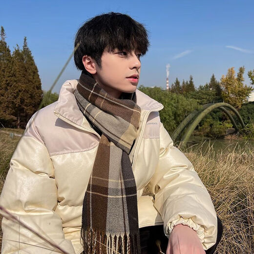 ARMANI EXCHANGE Armani scarf men's winter Korean style versatile student warm thickening boys gift trendy fashionable men's scarf khaki