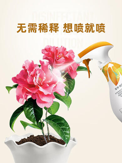 Dilution-free trifloxystrobin benzene, a special fungicide for rose plant powdery mildew, 800ml 2 bottles
