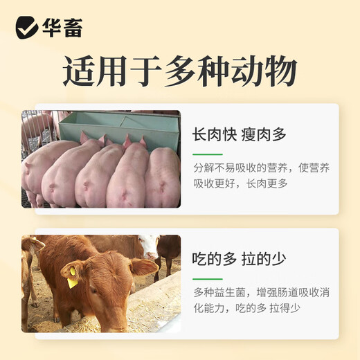 Huazhu Veterinary Fattening and Weight Gaining King Promoting Growth Fatty Master Feed Additive for Chickens, Ducks, Goose, Cattle and Sheep Premix Poultry and Pigs 1 Bag Buy 5 Song 1 Fattening and Weight Gaining King 2Jin Jin is equal to 0.5kg