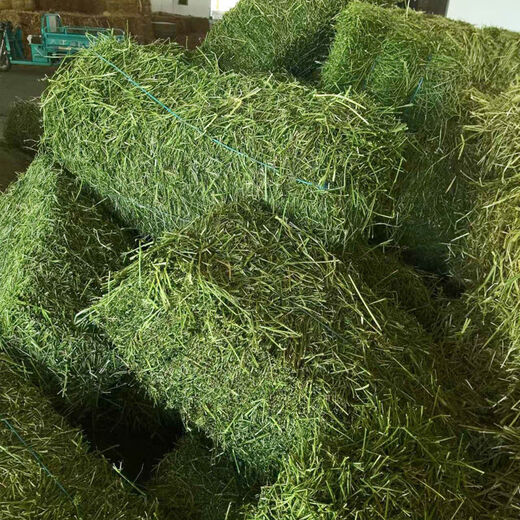 Alfalfa hay for cattle, sheep and horses, sheep grass, alpaca large zoo feed, alfalfa 5kg