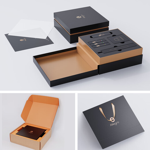 ALLEGRO Official Authentic Simple Luxury High-end Sonic Electric Toothbrush Adult Couple Model Soft-bristled Household Automatic Deep Cleaning Gum Protection Gift for Men and Women Birthday Wedding Memorial Glacier Silver