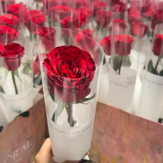 Flowers intra-city express red rose bouquet to express love to girlfriend, proposal gift bouquet for wife, wedding anniversary flowers, minimum 30 pieces, single package of red roses