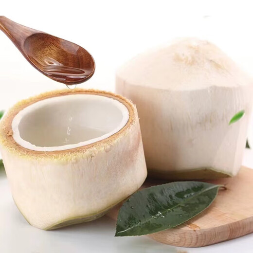 Authentic Thai coconut green whole box fresh perfume coconut fruit for pregnant women free coconut opener straw-Doushunwang 1 piece medium fruit early adopter pack