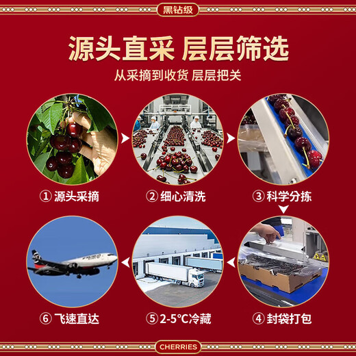 Fenlan Chilean cherries JD SF Express - next-day delivery to many places Imported large cherry gift box New Year's Day gift fruit 2Jin Jin equals 0.5kg (net weight) Extra large fruit 3J grade 30mm+