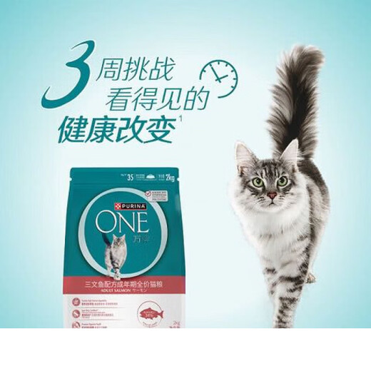 PURINA ONEONE Ten Thousand Brand Salmon Formula Full Price Cat Food for Adults MM Supermarket