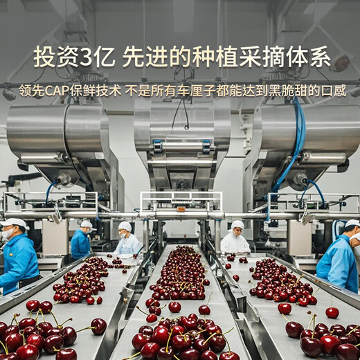 Fenlan Chilean cherries JD SF Express - next-day delivery to many places Imported large cherry gift box New Year's Day gift fruit 2Jin Jin equals 0.5kg (net weight) Extra large fruit 3J grade 30mm+