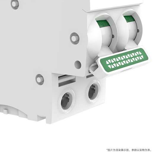 施耐德电气 空气开关2P C63A 家用微型断路器总闸双进双出双极空开 R9F44263