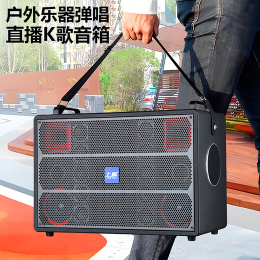 Shangke high-end audio outdoor performance musical instrument playing and singing amplifier all-in-one multi-functional high-power subwoofer Bluetooth speaker 17 speakers + 12-inch subwoofer